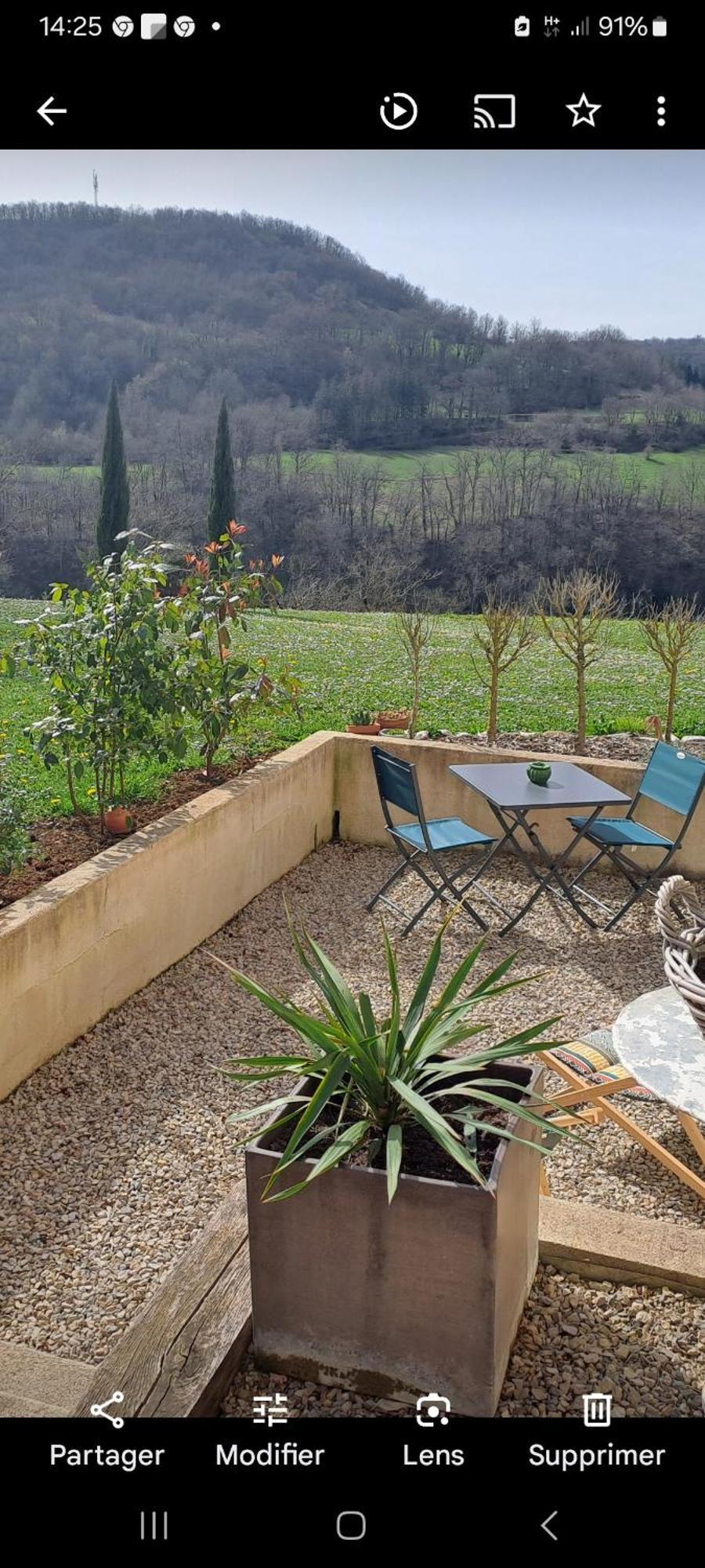 Les Glycines *
